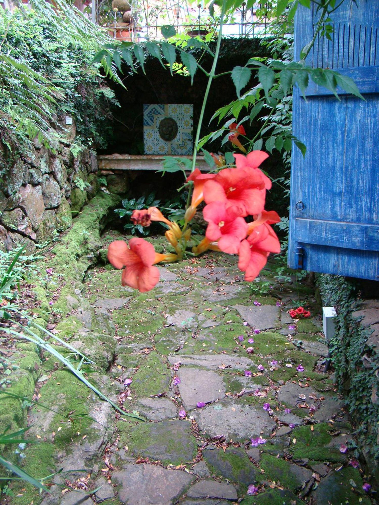 Villa Do Arquiteto Nova Petropolis Buitenkant foto